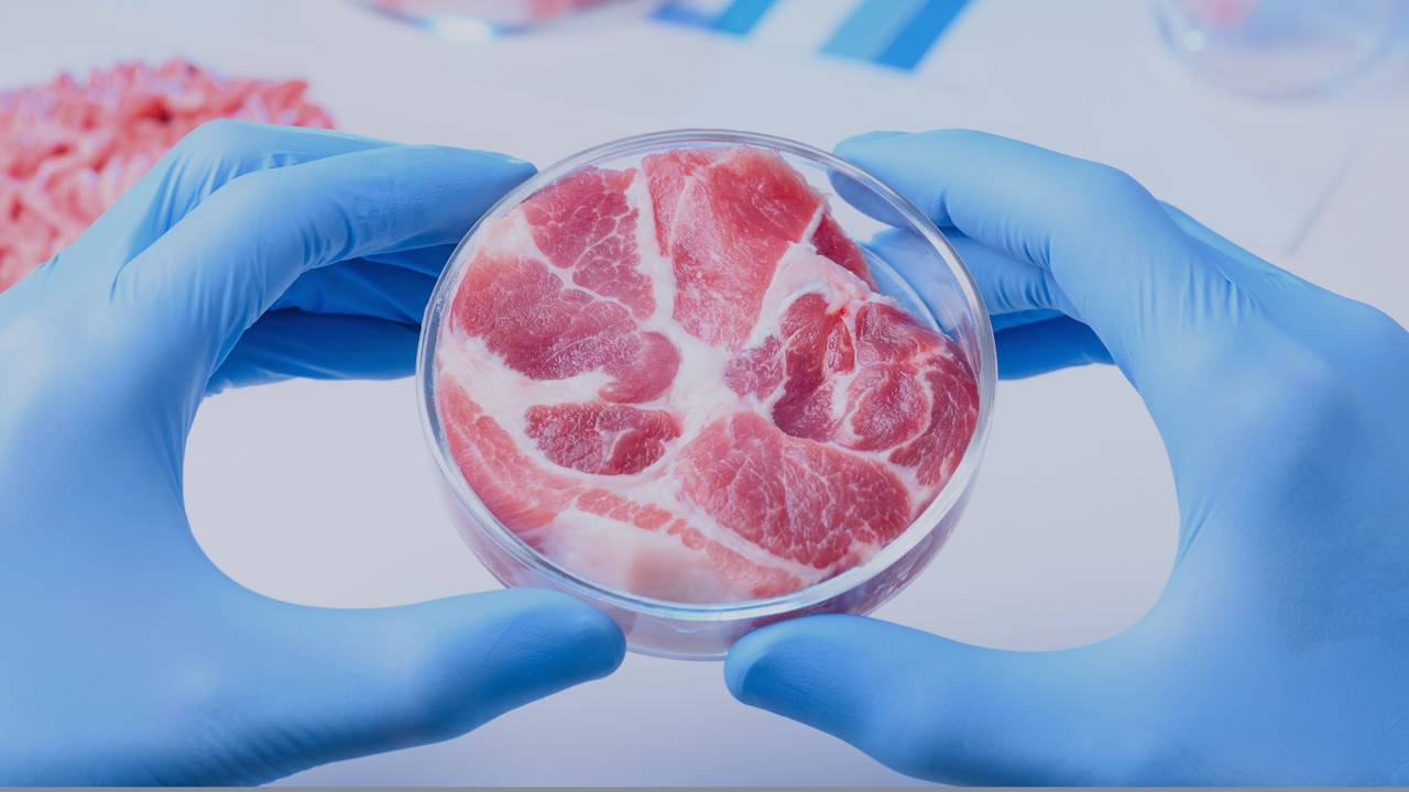 Artificial Meat, Lab-Grown Meat and the Future of Food