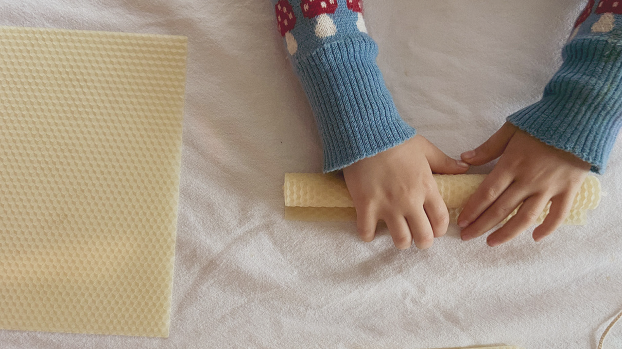 Sense Of Temperature And Keeping Warm Sense Of Temperature And Keeping Warm