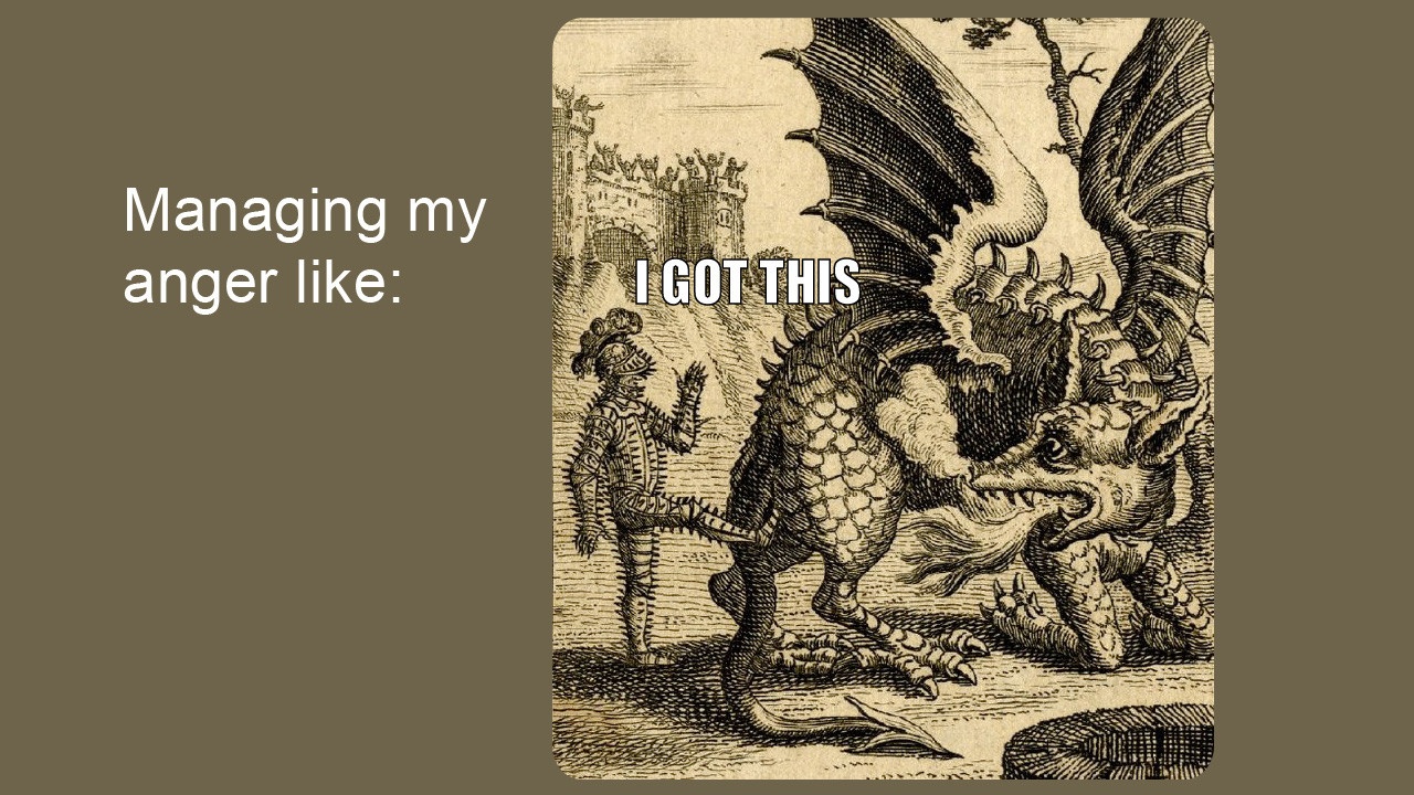 Knight kicking a dragon in the butt, with the caption, 