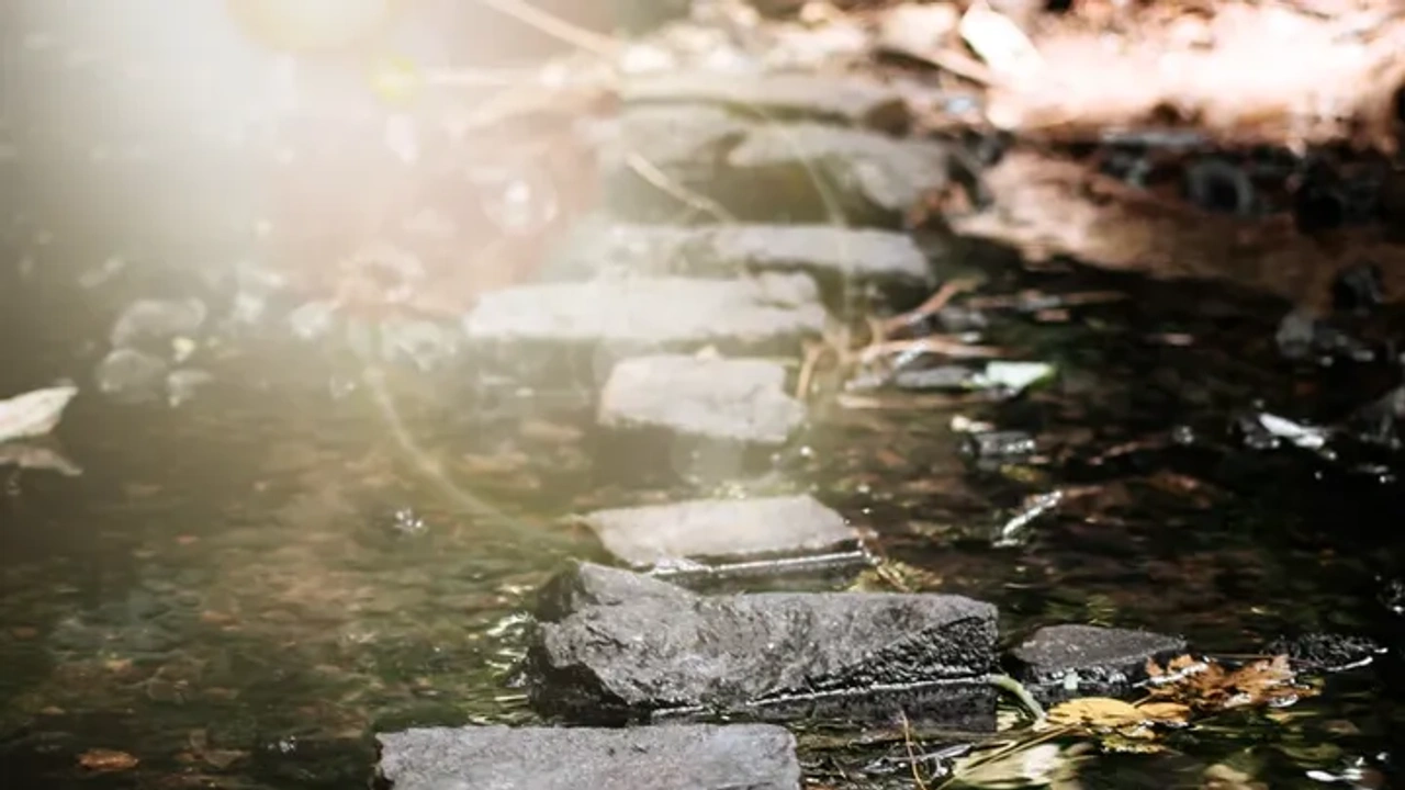 stepping stones