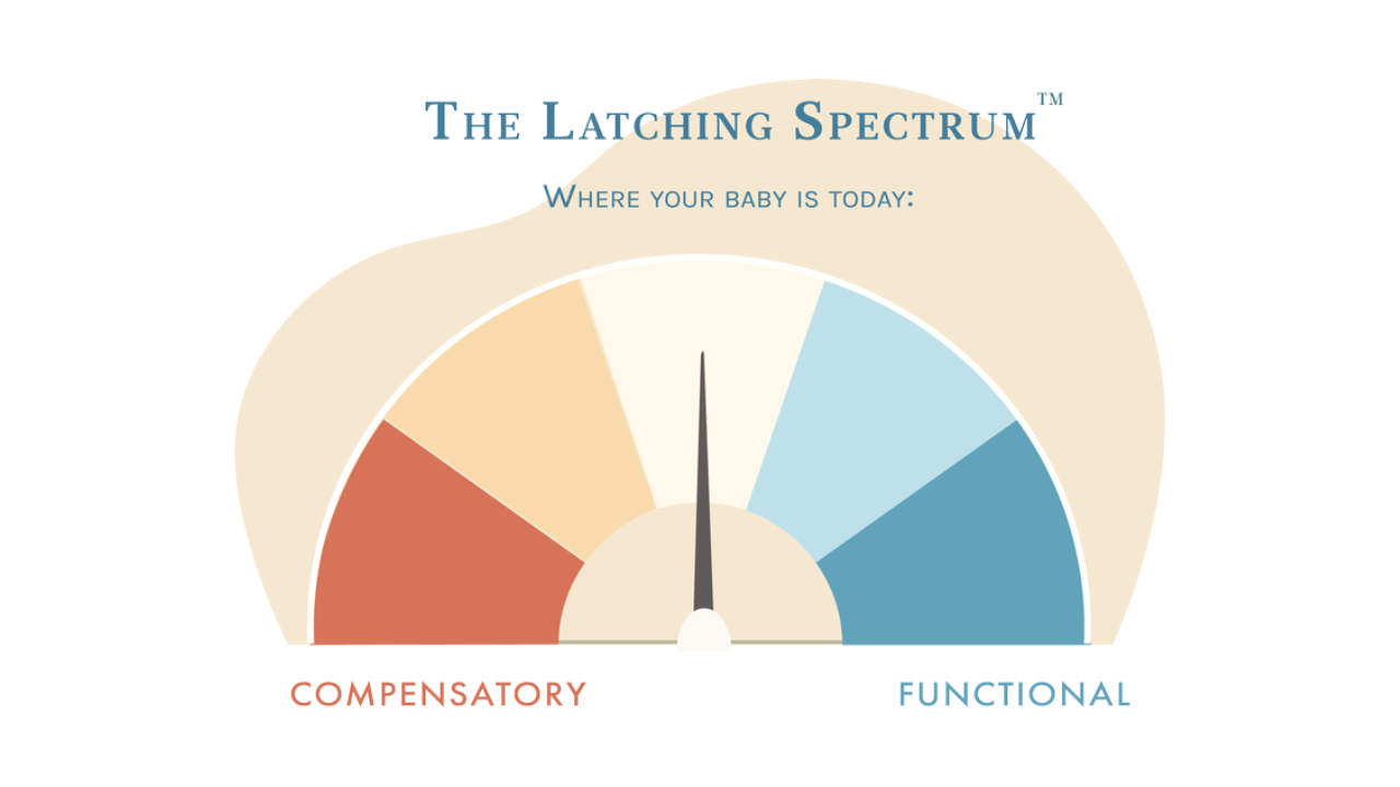 A latching spectrum where you can  get a range of scores for an average feeding through a latching assessment.