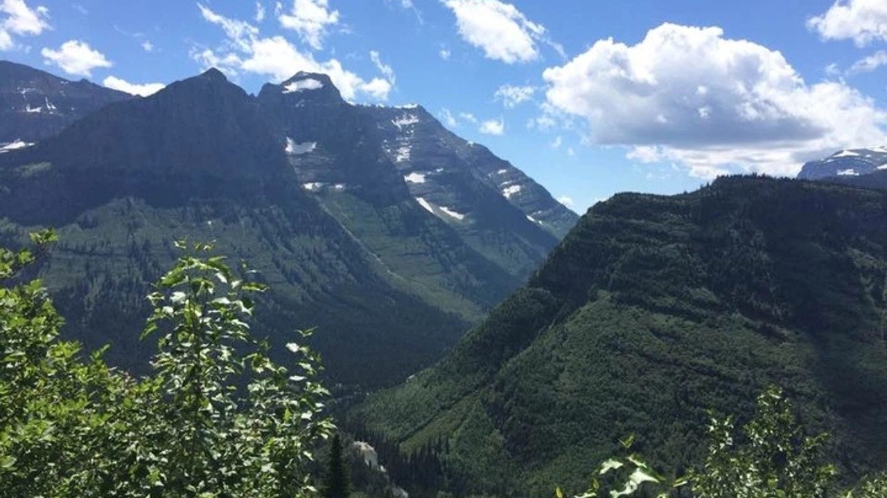 an image of the mountains and trees in Glacier National Park