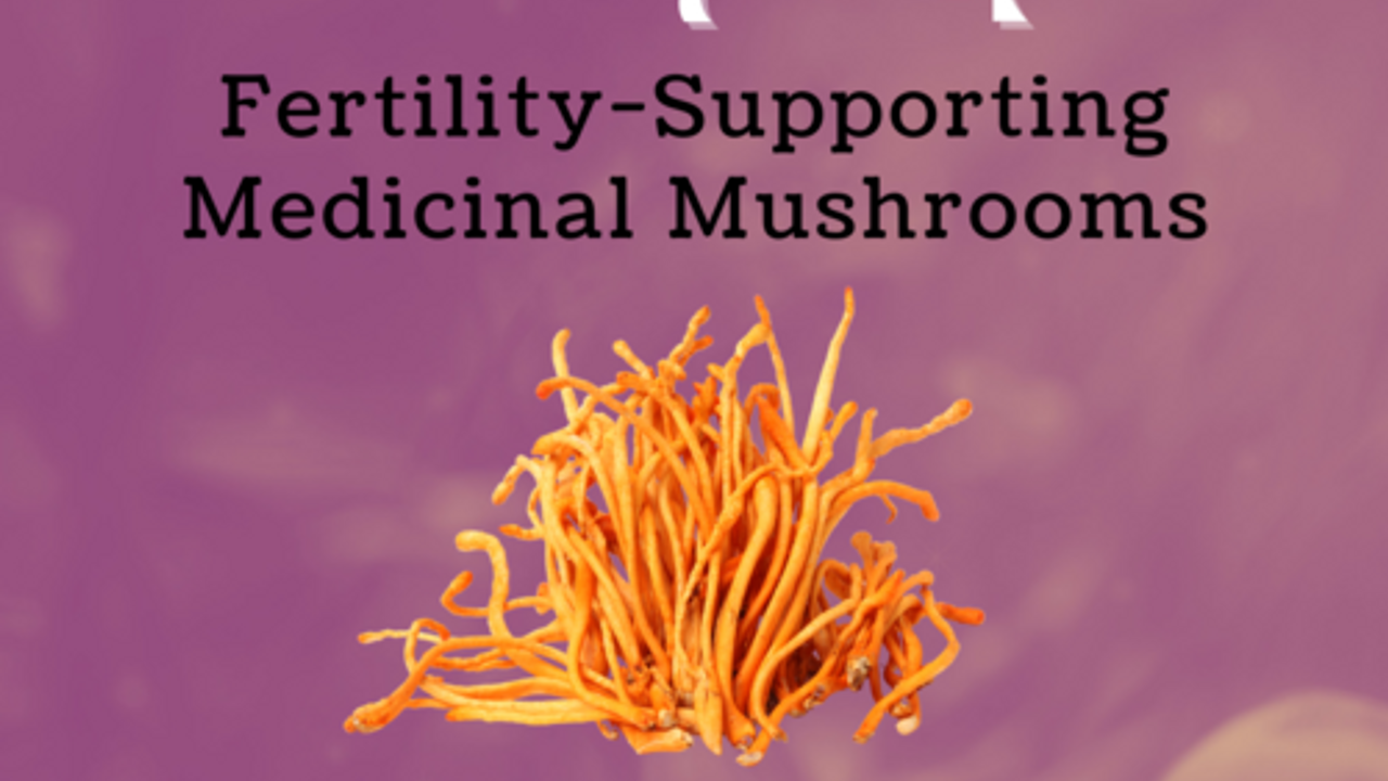 This medicinal mushroom can support fertility
