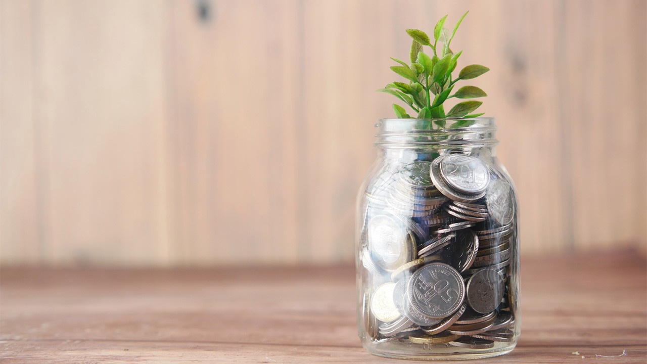 plant growing out of a jar of coins