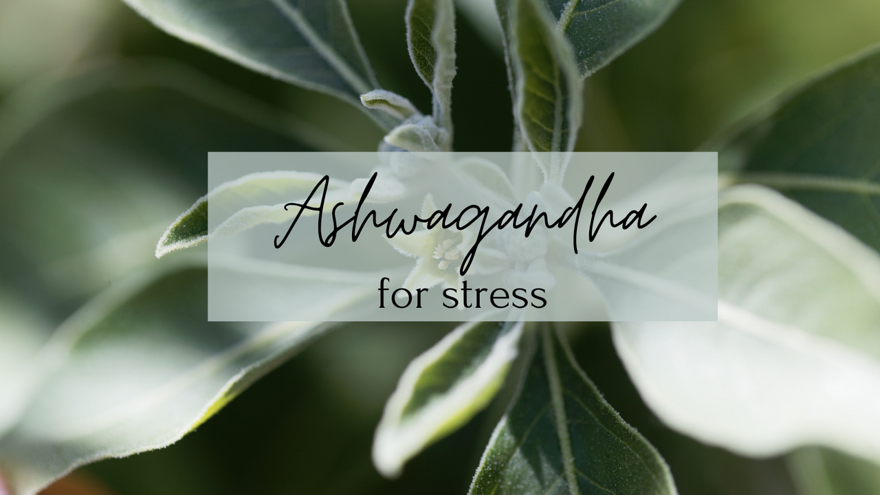 Functional Medicine Ashwagandha Stress management