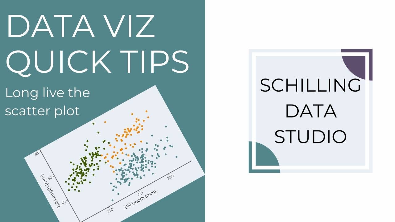 A banner for data viz quick tips with the Schilling Data Studio Logo showing a scatter plot and the text long live the scatter plot.