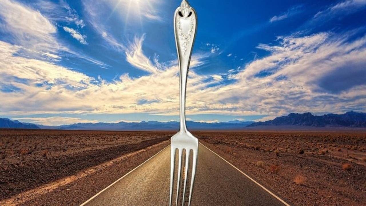 A Road with a Fork