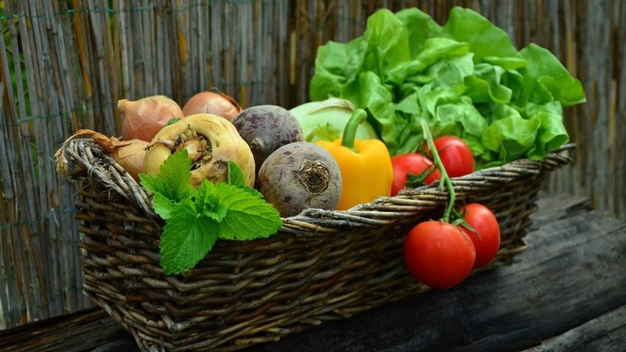 5 Tips on Transitioning to a Plant-Based Diet