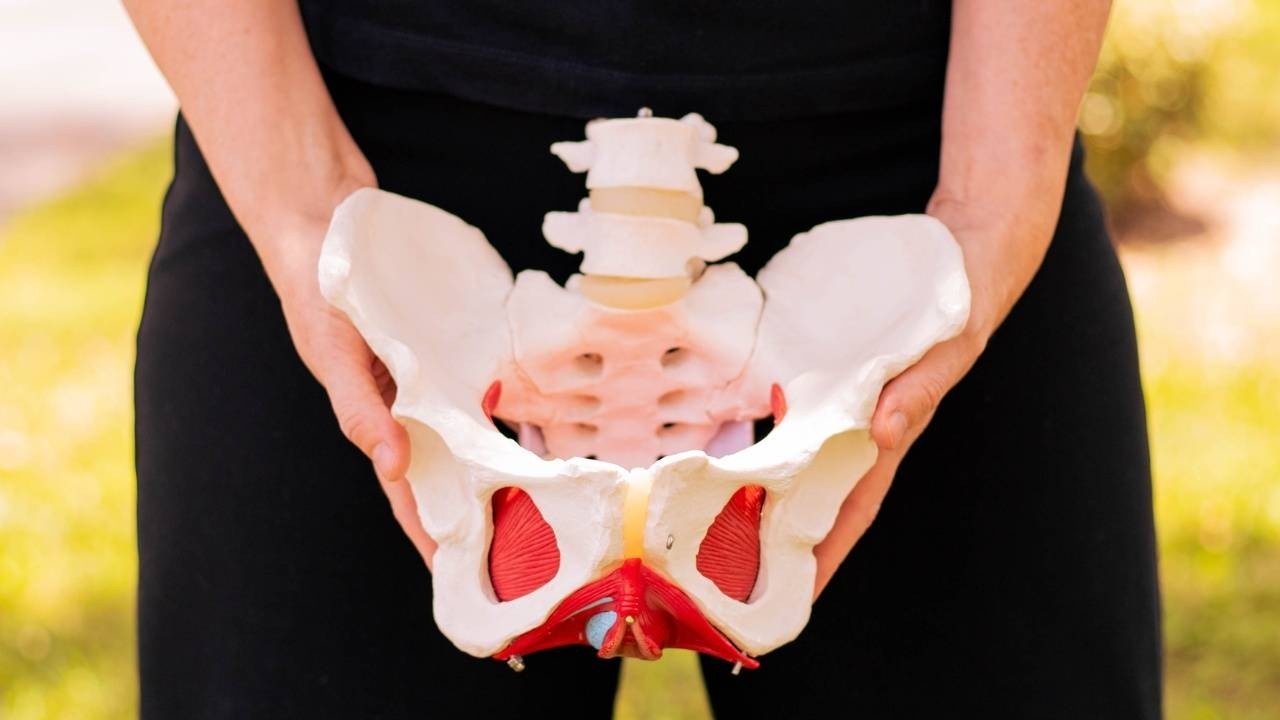 Pelvic Floor Physical Therapy Pelvis