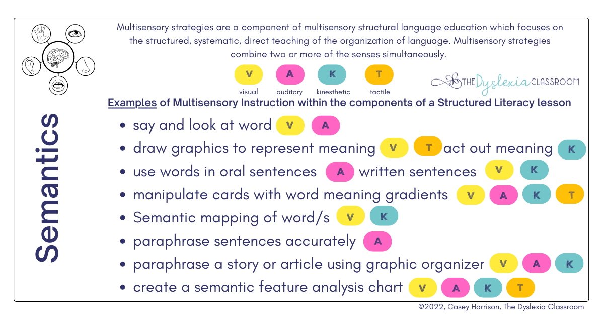 Immerse your child in the symphony of multisensory learning with