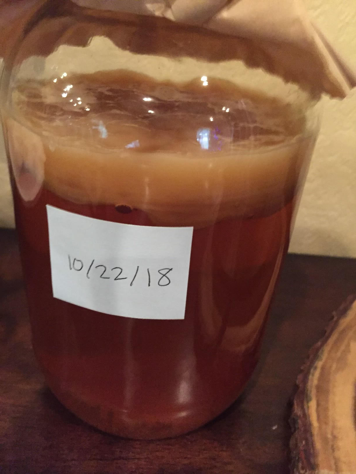 3 Things That Cause Mold on a Kombucha SCOBY – YEABUCHA