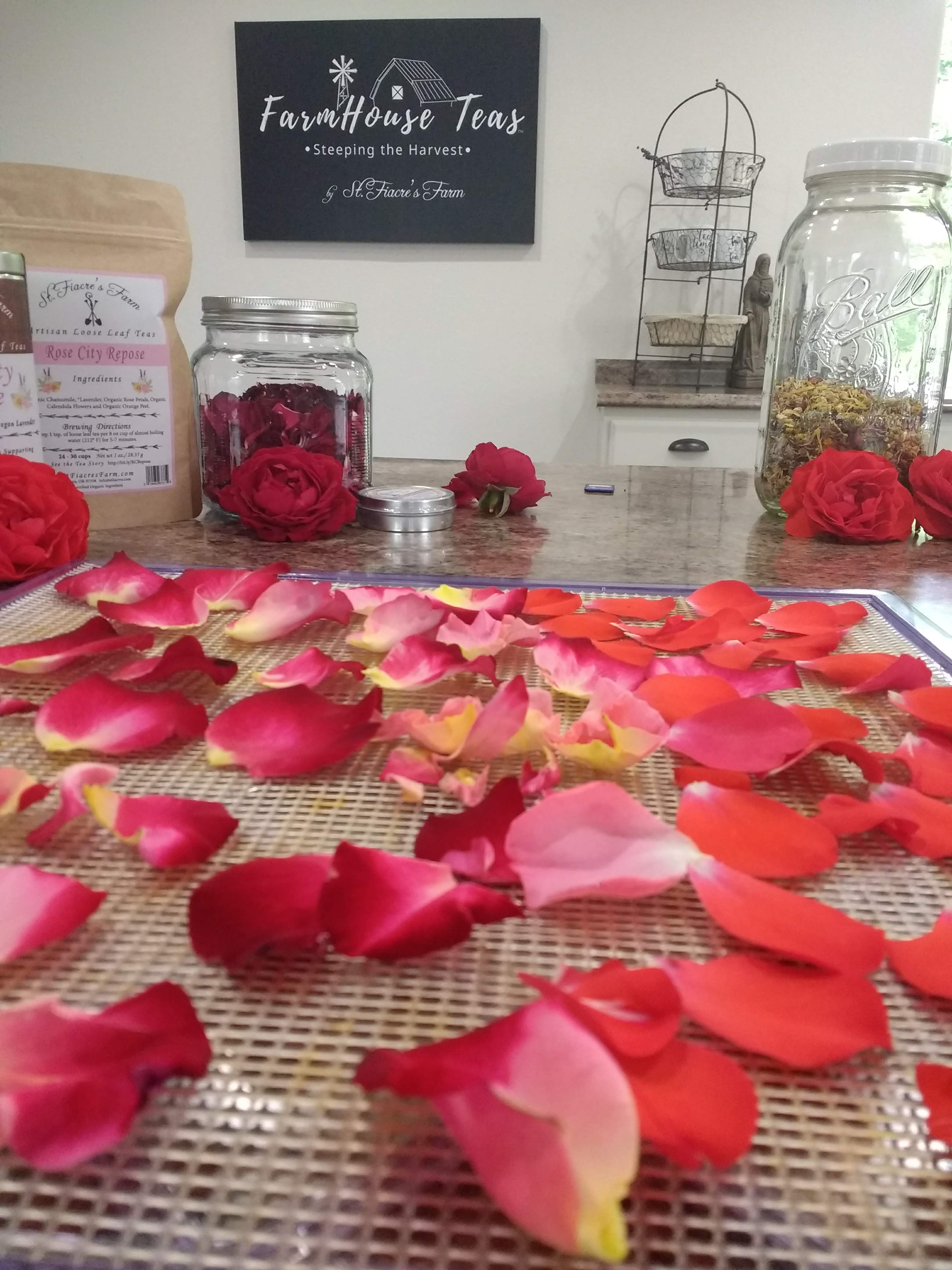 Edible Rose Petals - Orange and White