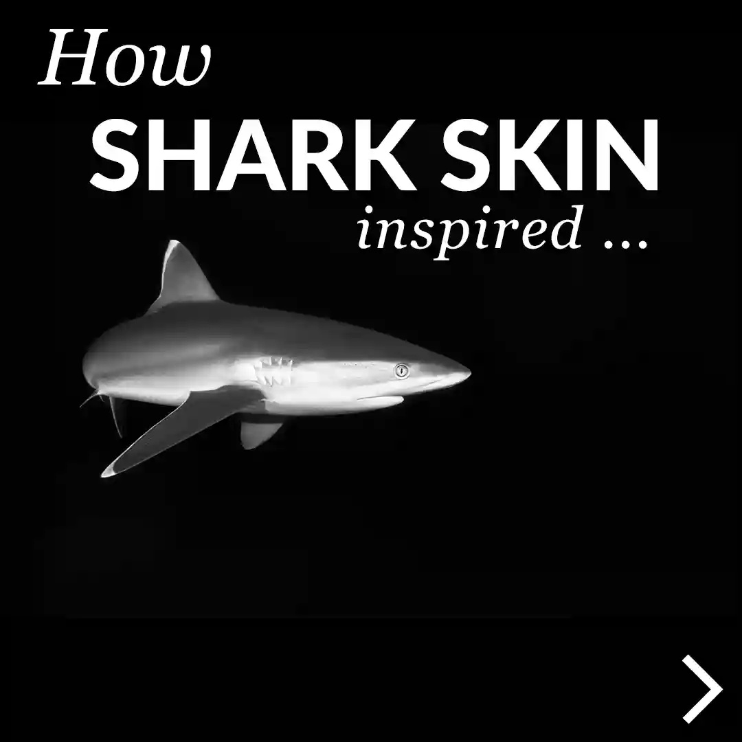 Why Are Scientists Trying To Make Fake Shark Skin?, Innovation