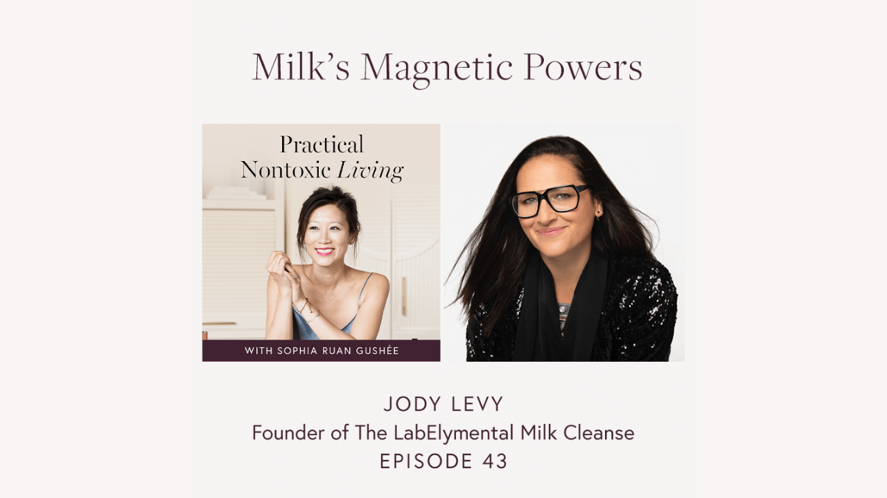 Sophia Ruan Gushee & Jody Levy on the Practical Nontoxic Living podcast