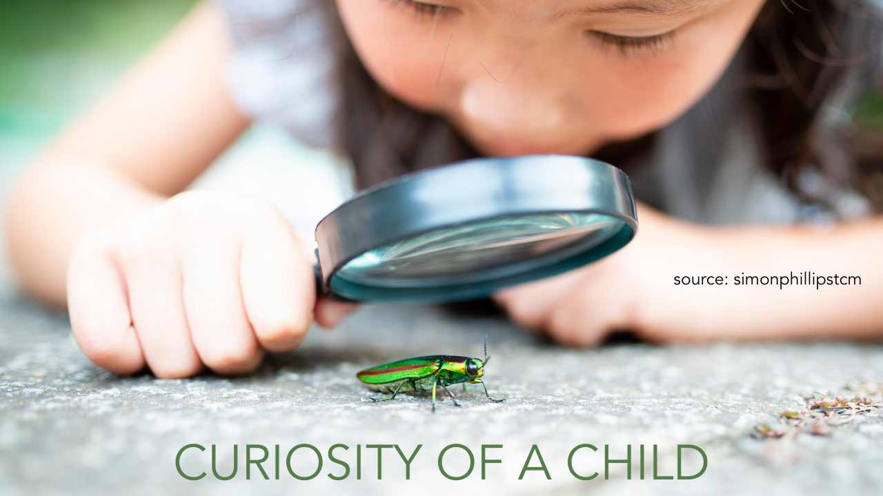 Curiosity Of A Child