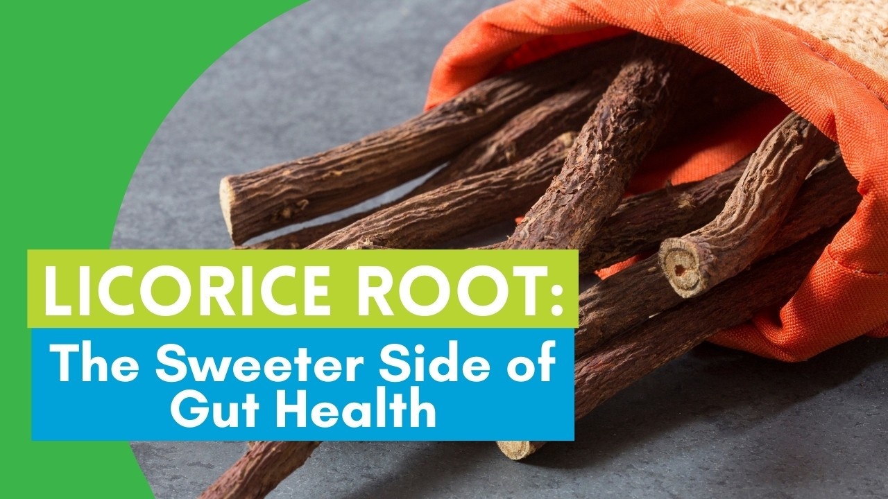 licorice roots tied together with natural twine on a blue wood background and the words licorice root: the sweeter side of gut health