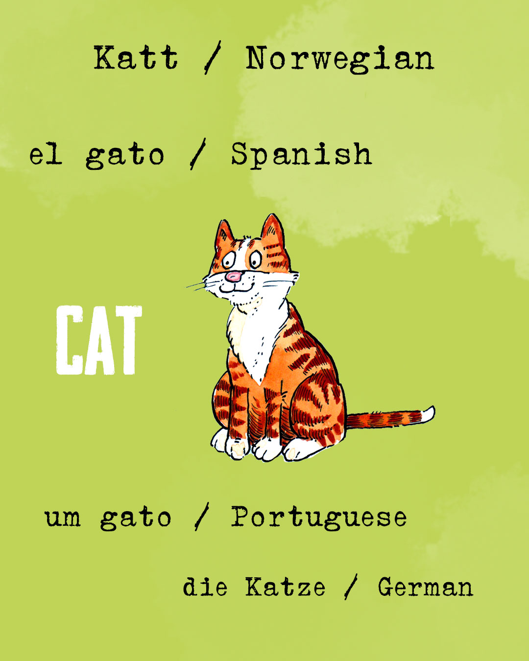 animals-in-different-languages-pet-focus