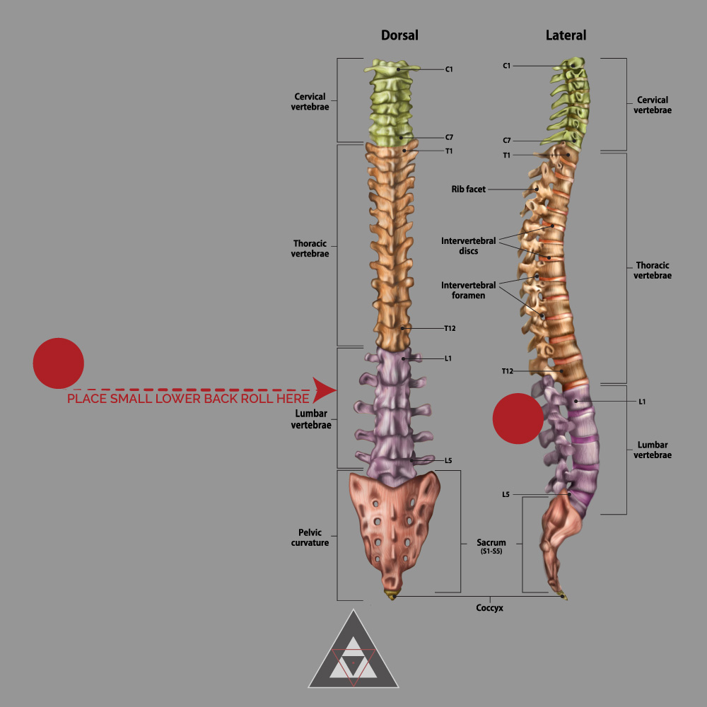 How Your Back Pain is Connected to Your Sexual Dysfunction