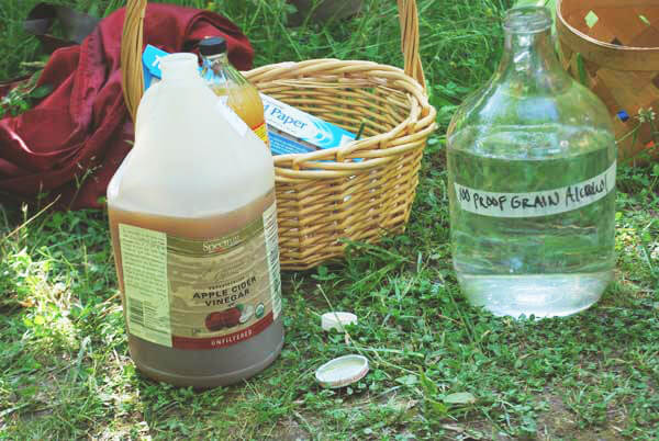 bottles of apple cider vinegar and alcohol sitting on the grass