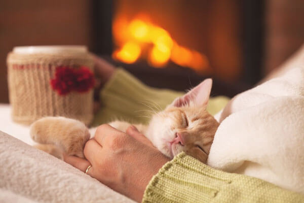 a cat curled up with a woman by the fireplace