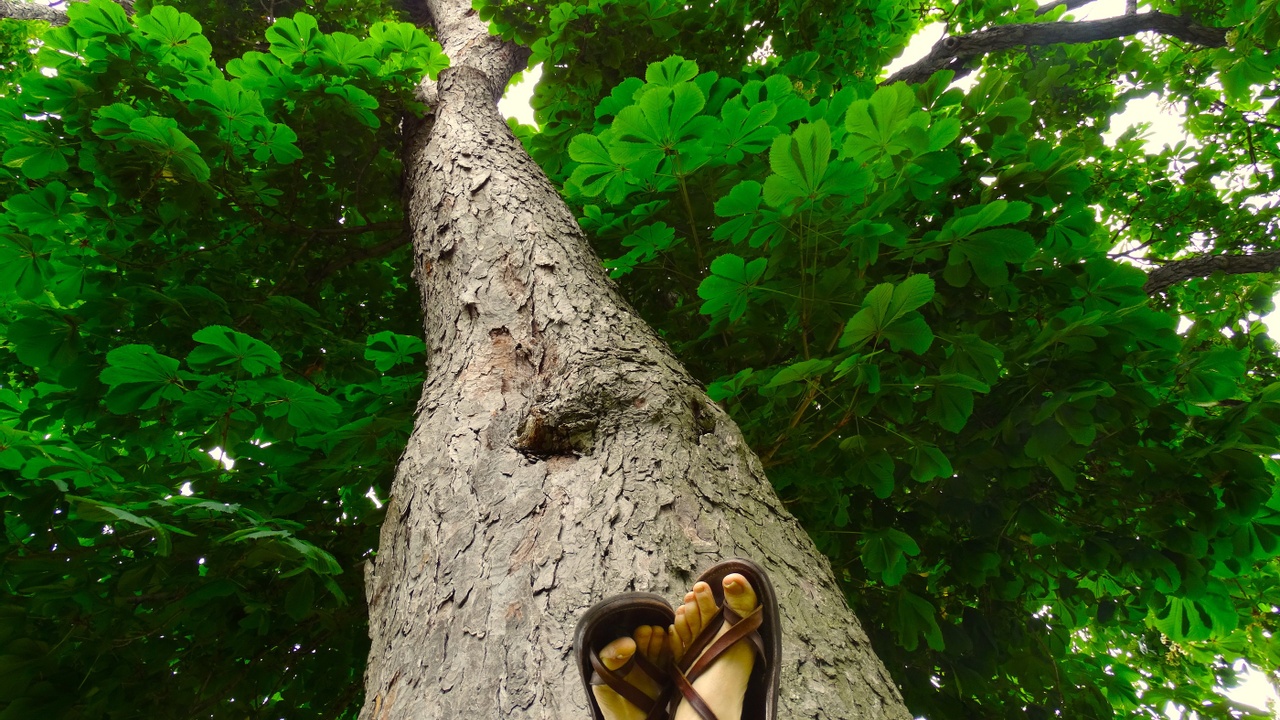 earth-based woman practicing radical self care connecting with nature