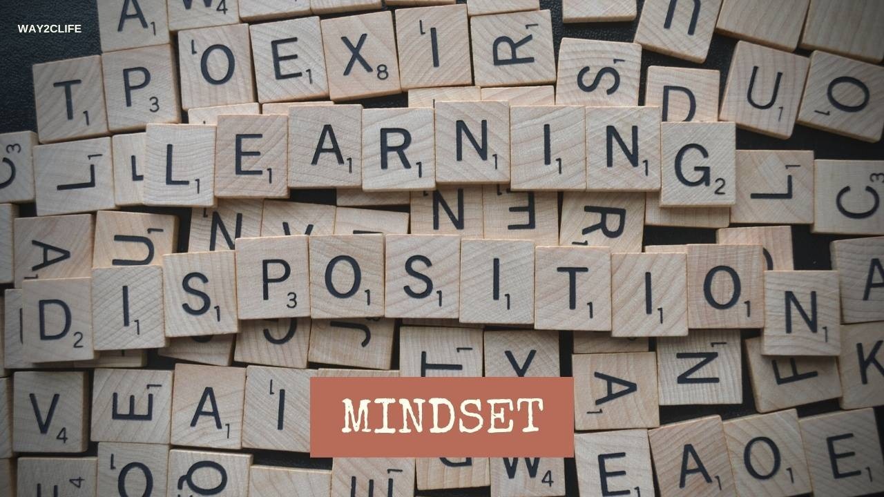 Learning Disposition Mindset