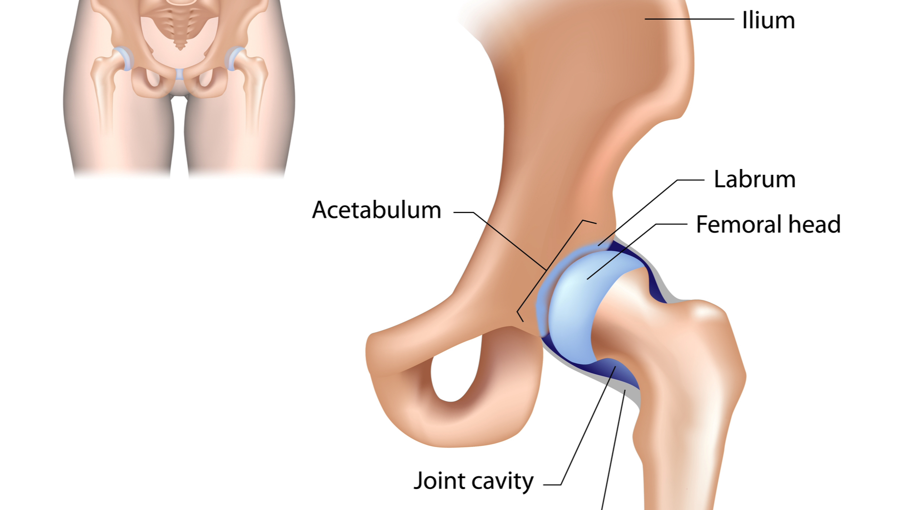 Cardio exercises for hip labral online tear