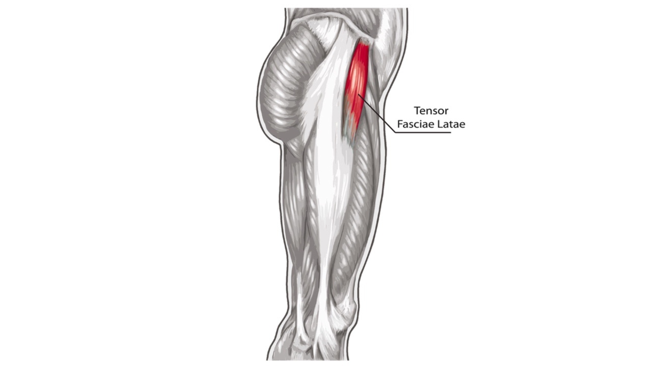 3 Steps for Eliminating Tensor Fascia Latae Pain