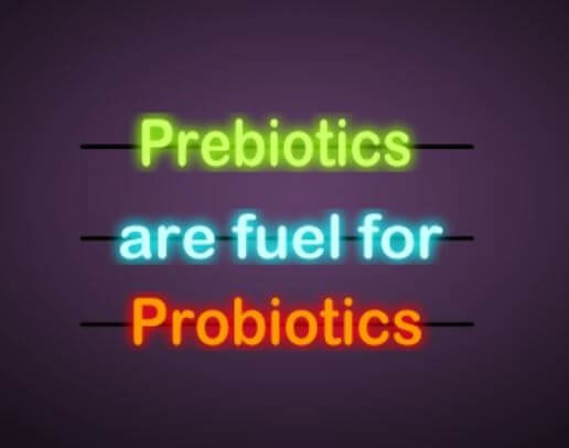 prebiotics probiotics for athletes