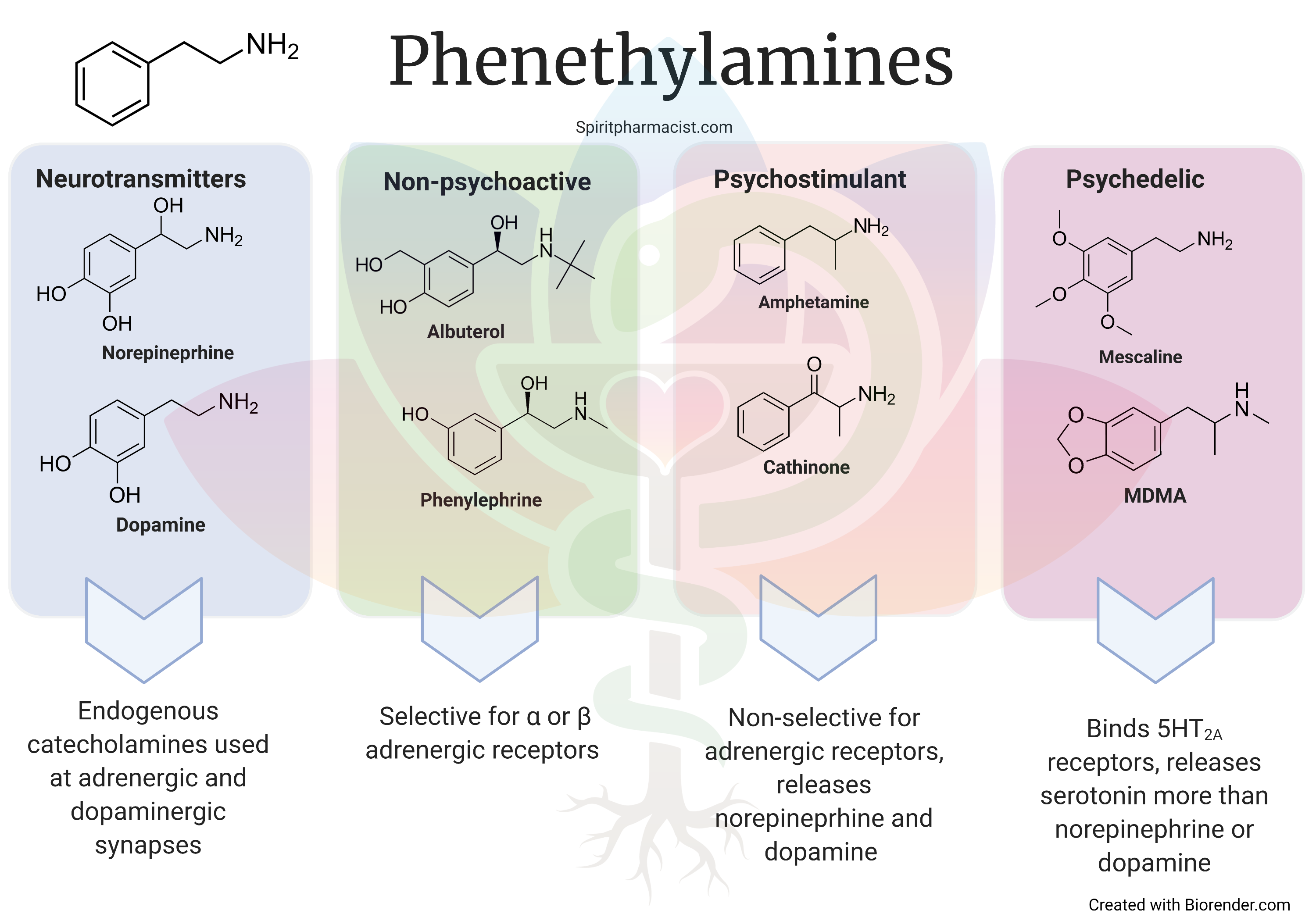 Introduction to Psychedelic Phenethylamines