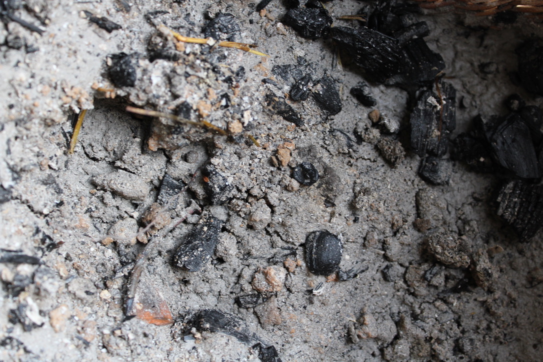 Wood Ash and Animal Fat Soap