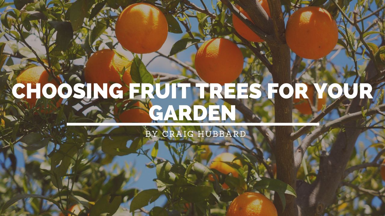 Thrive and Live your best life