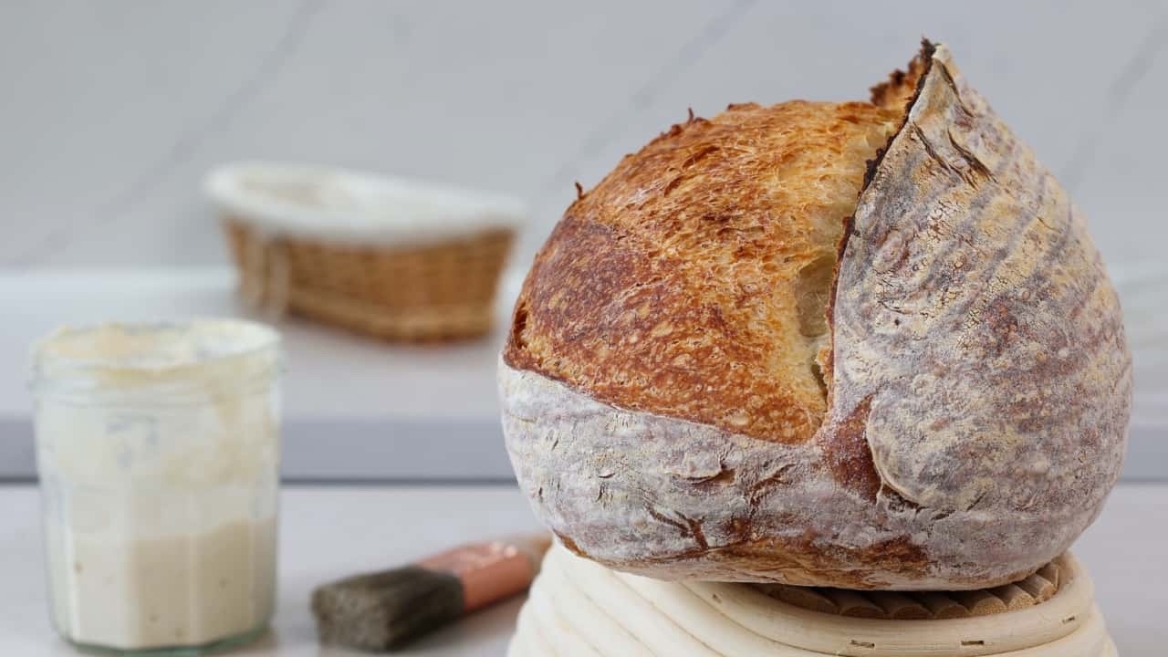 Basic Bread, my first sourdough bread 