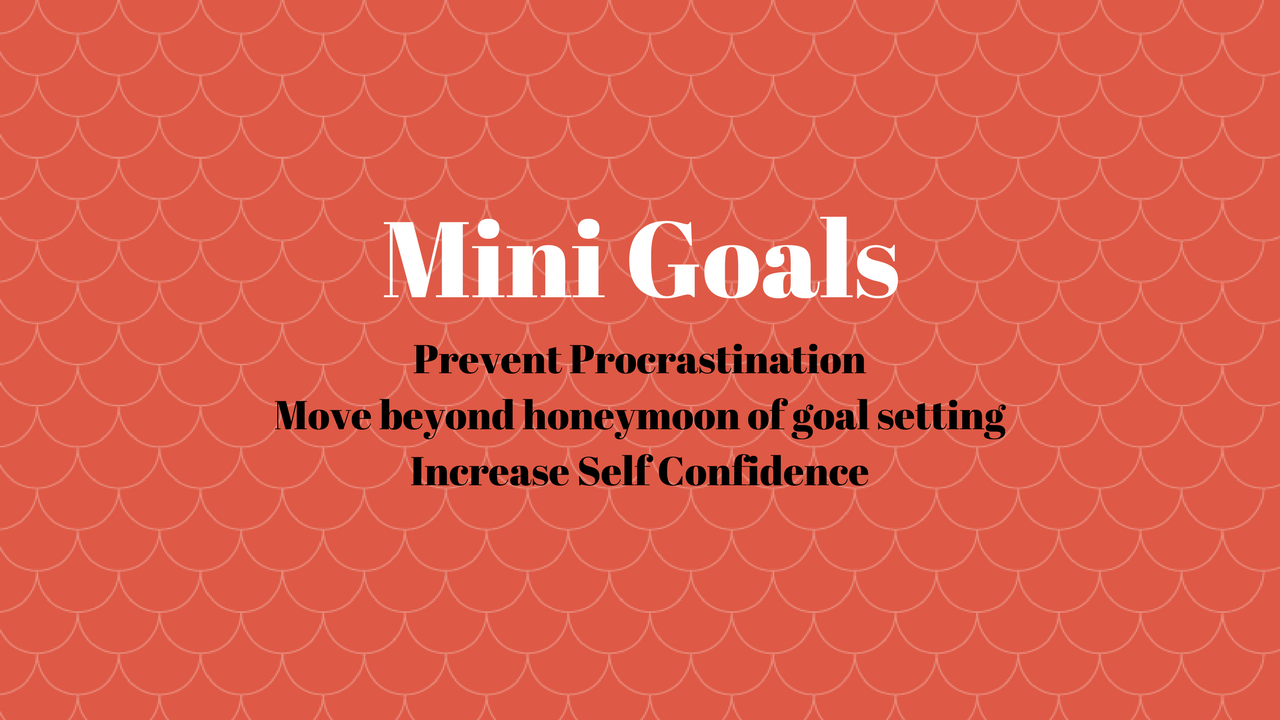 Mini Goals