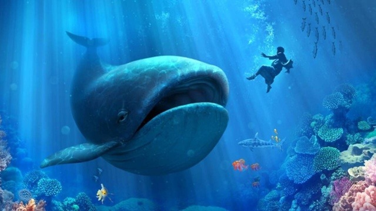 Wistia video thumbnail