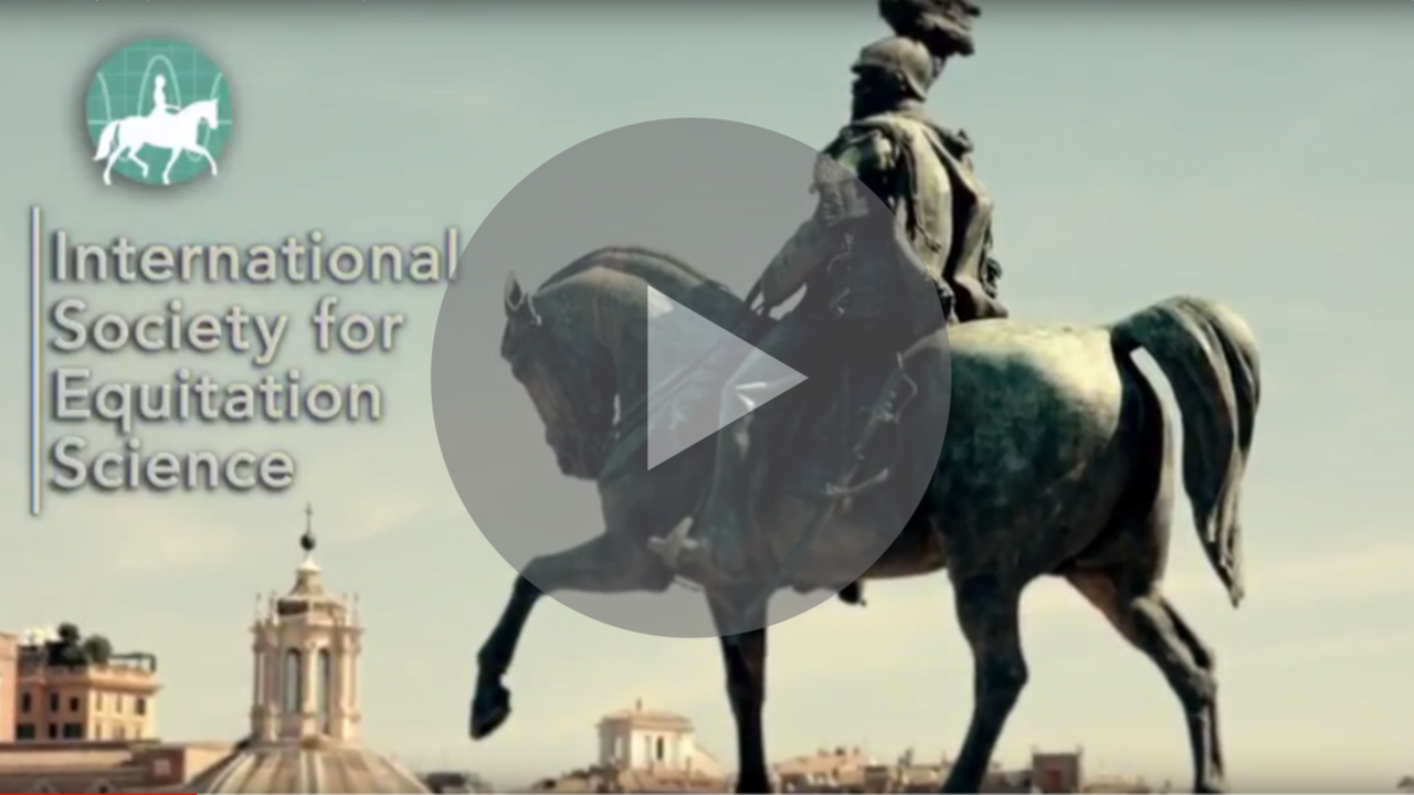 Ised Roma Webinar: News from ISES Rome