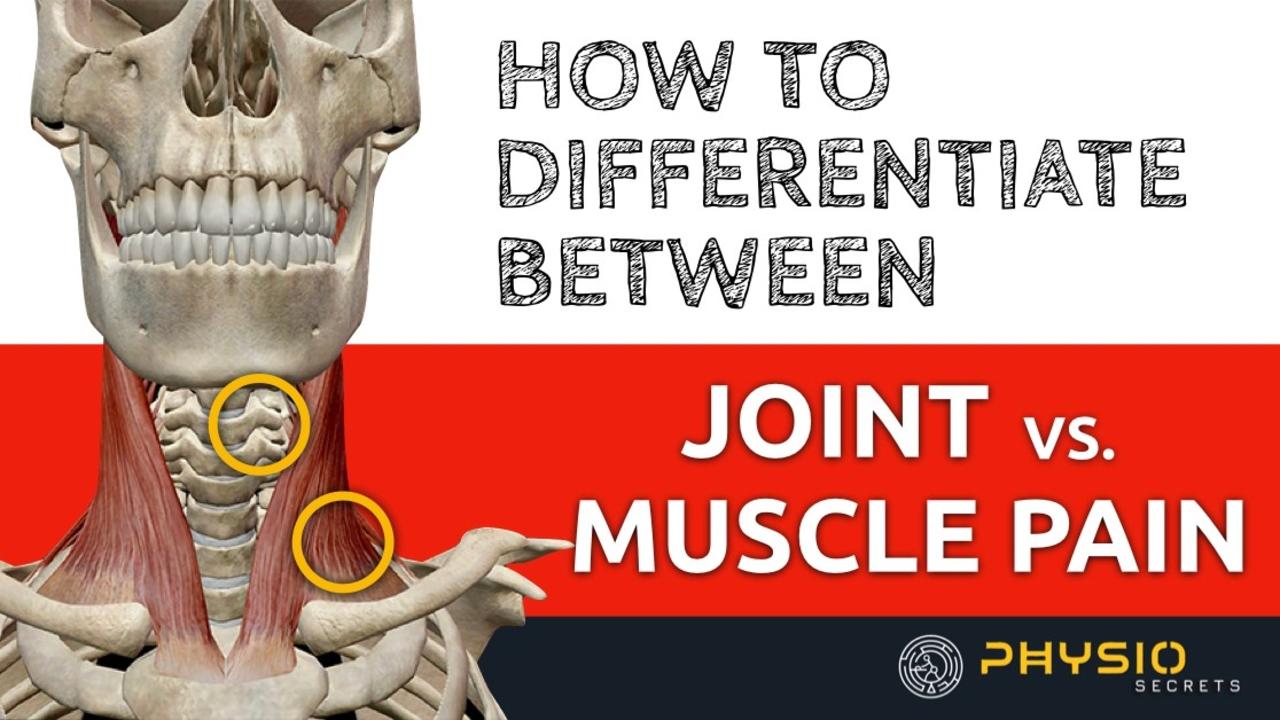 Hot To Differentiate Between Joint Vs Muscle Pain