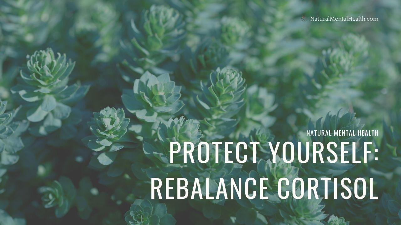 Protect Yourself: Rebalance Cortisol