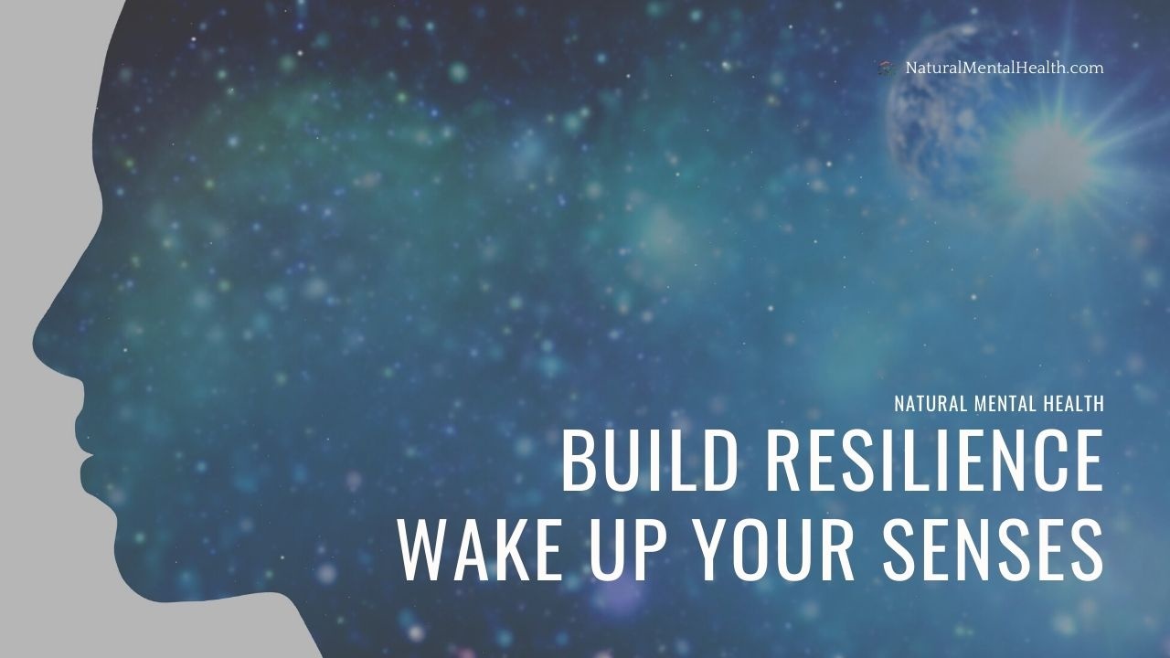 Build Resilience: Wake Up Your Senses