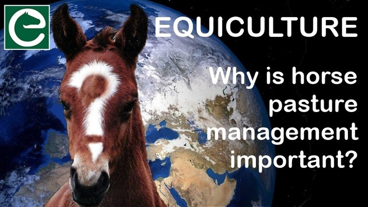 Why is horse pasture management important