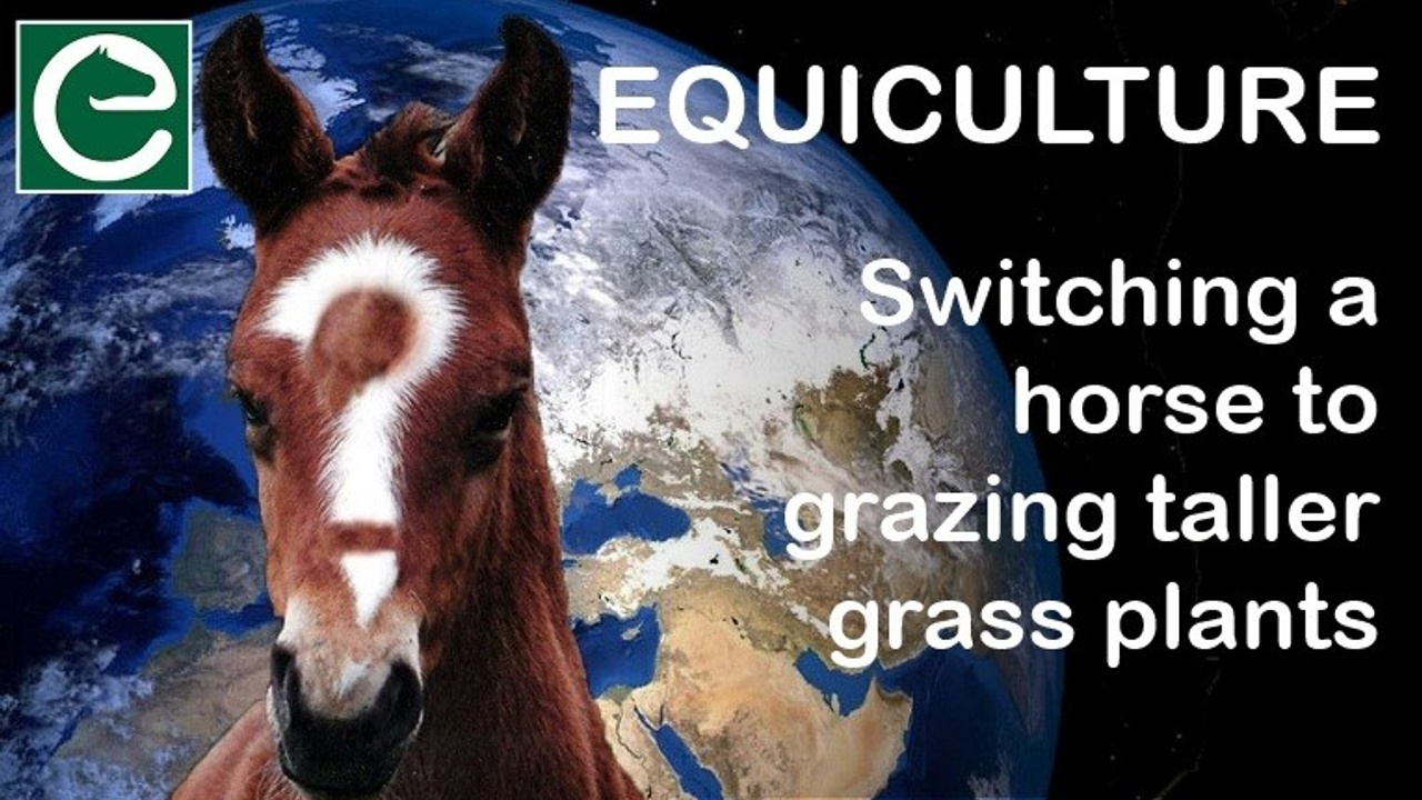 Switching a horse to grazing taller grass plants