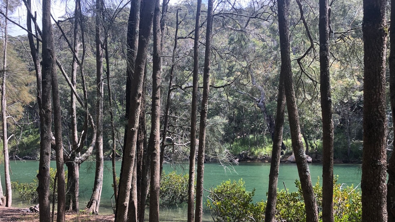 Beautiful waterhole at Kuringai 