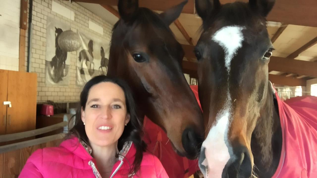 SMARTgeflüster – Ein Neujahrsgruß von Tuuli für Dich