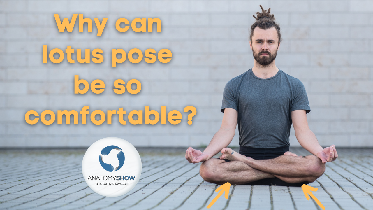 Sitting comfortably in lotus pose / padmasana