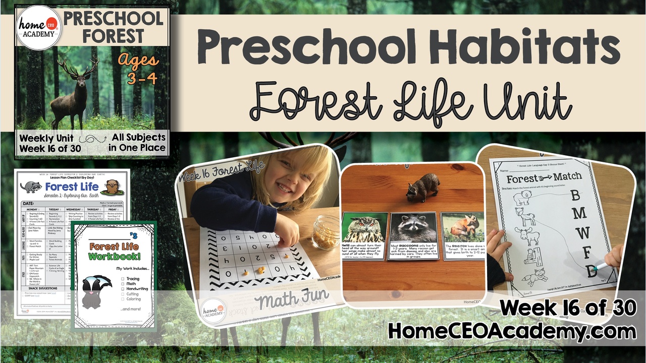 Compilation of images depicting pages and activities in the Forest themed week of the Home CEO Academy preschool homeschool curriculum Habitats Unit. 