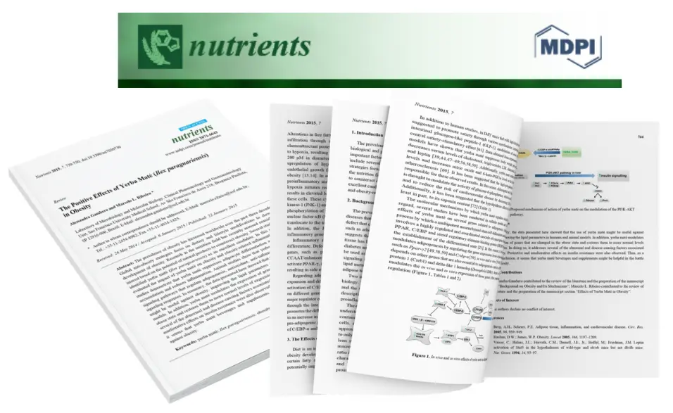 The Science Behind Yerba Mate Obesity Study from Journal Nutrients