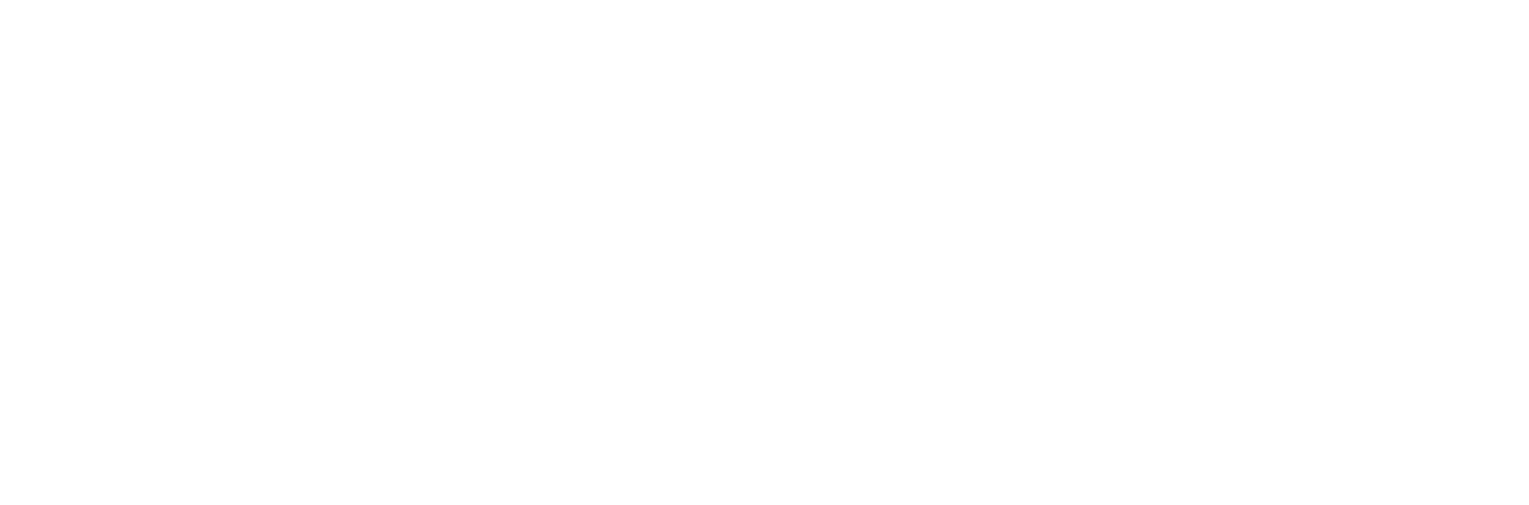 IDOL Academy