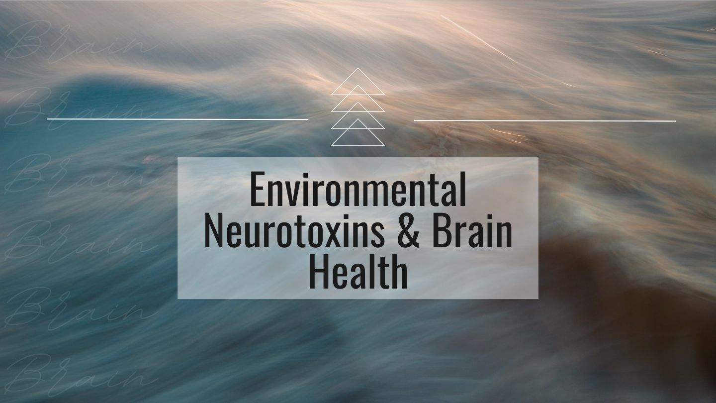Toxins in the Brain