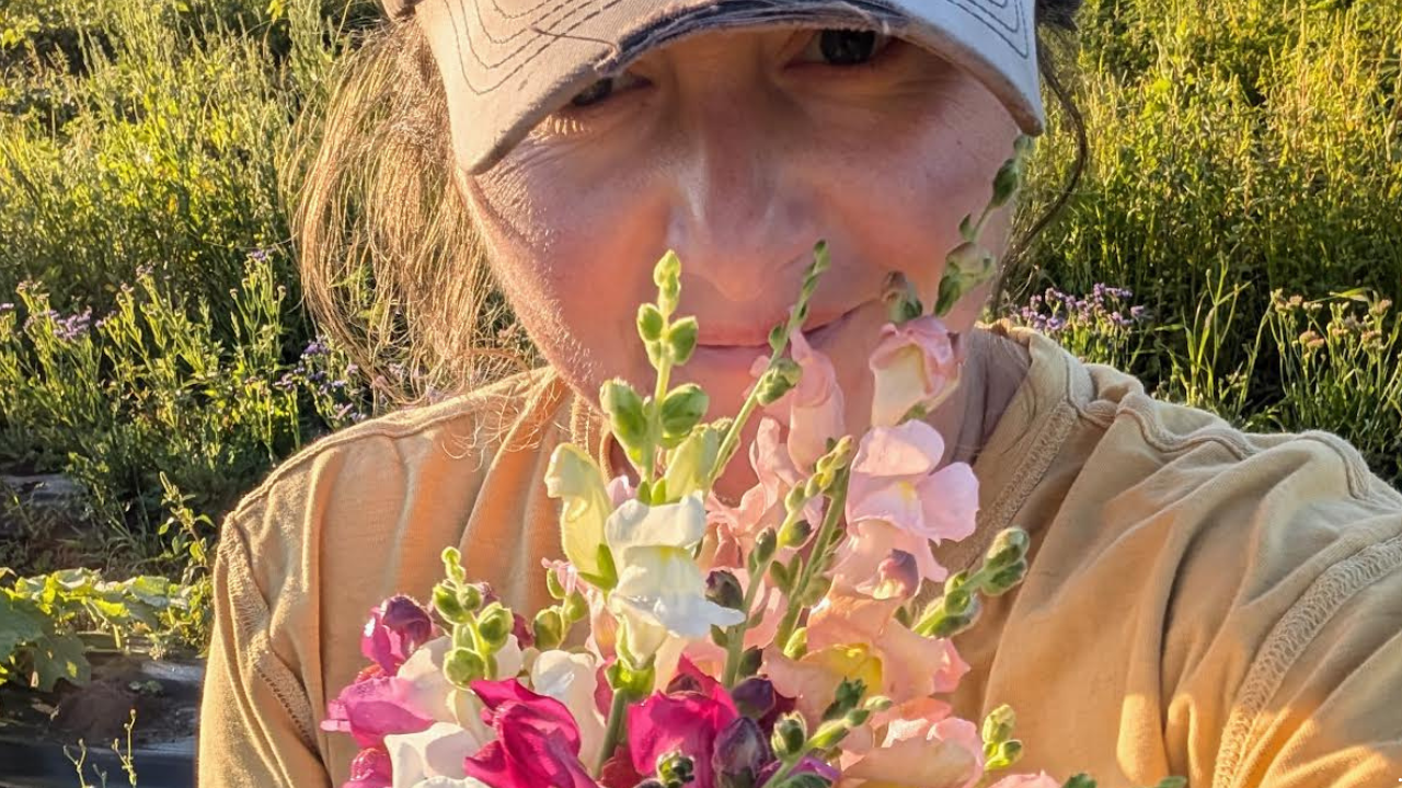 Aurora from Schul Farmstead | Western New York Veggie Farm | Pesticide-Free