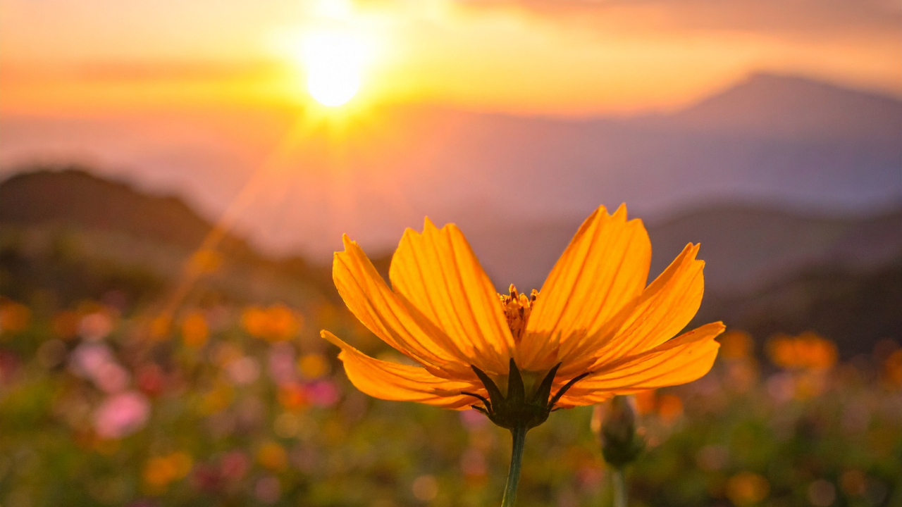 life-after-grief-you-bet